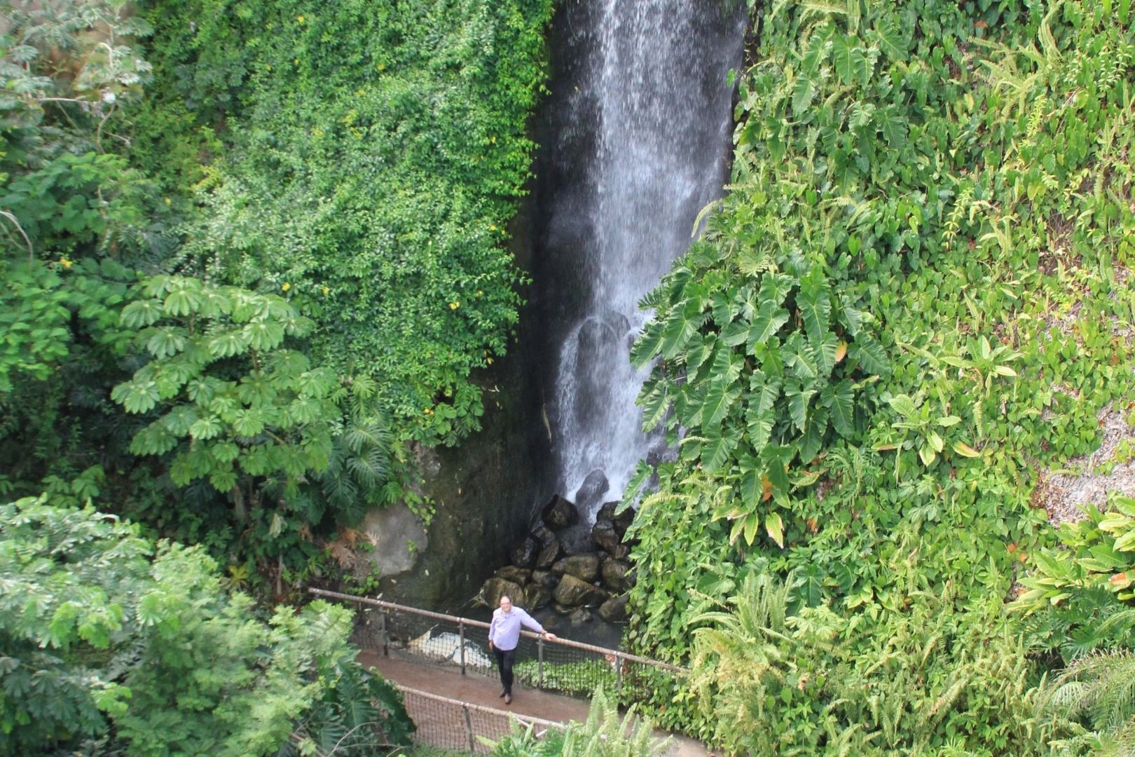 Visite de Eden Project (2)