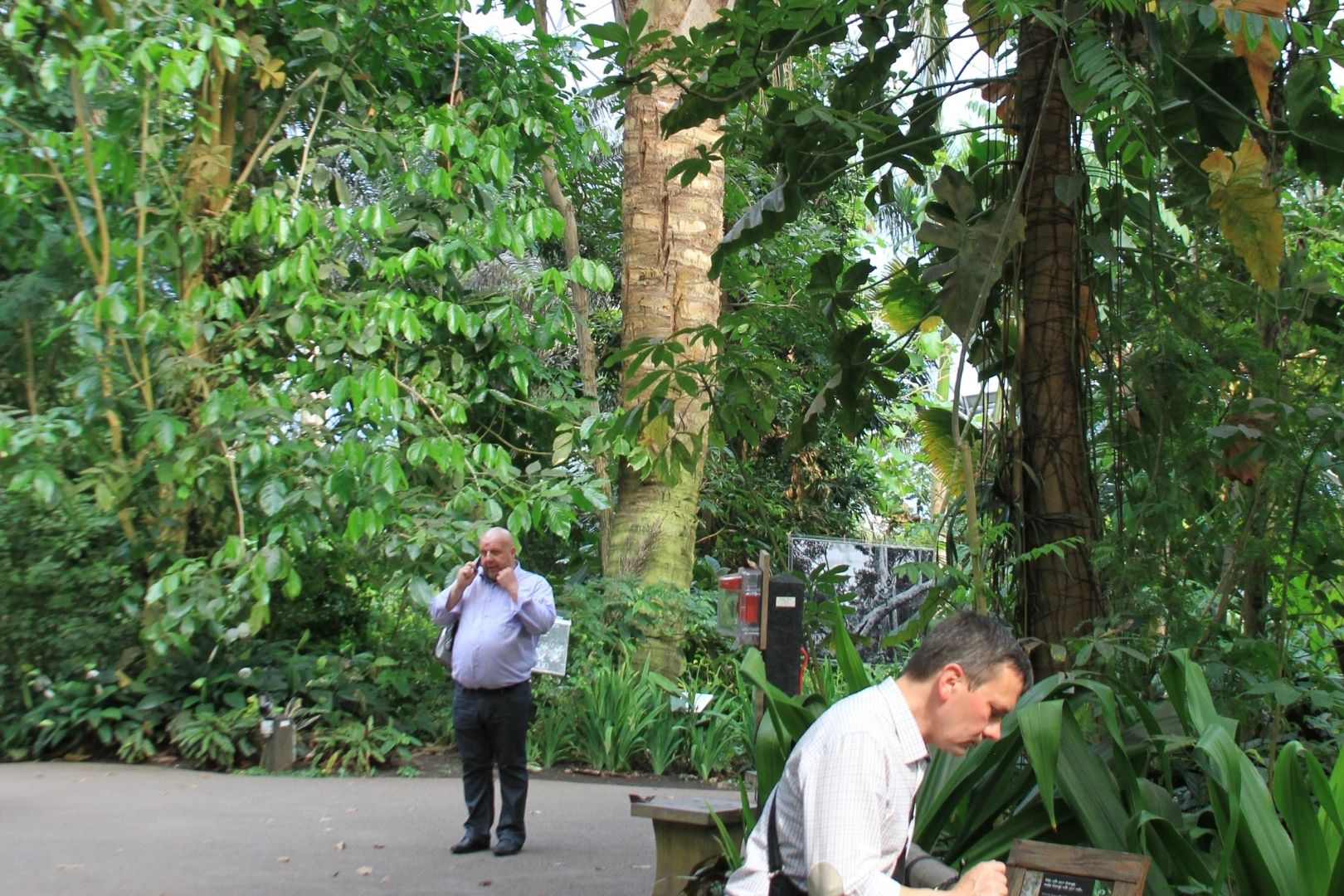 Visite de Eden Project​ (4)