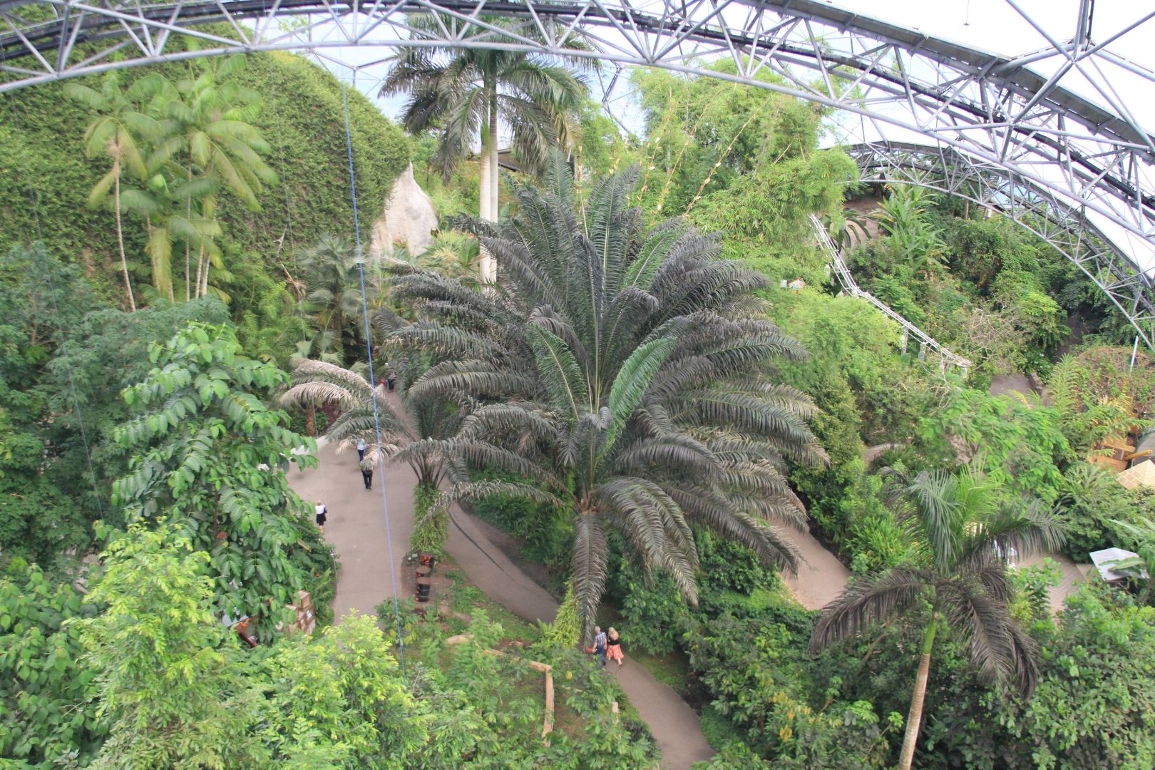 Visite de Eden Project​ (5)