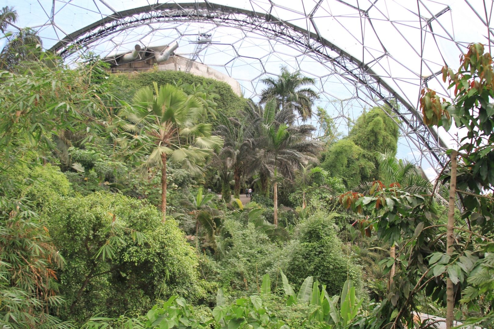 Visite de Eden Project​ (6)