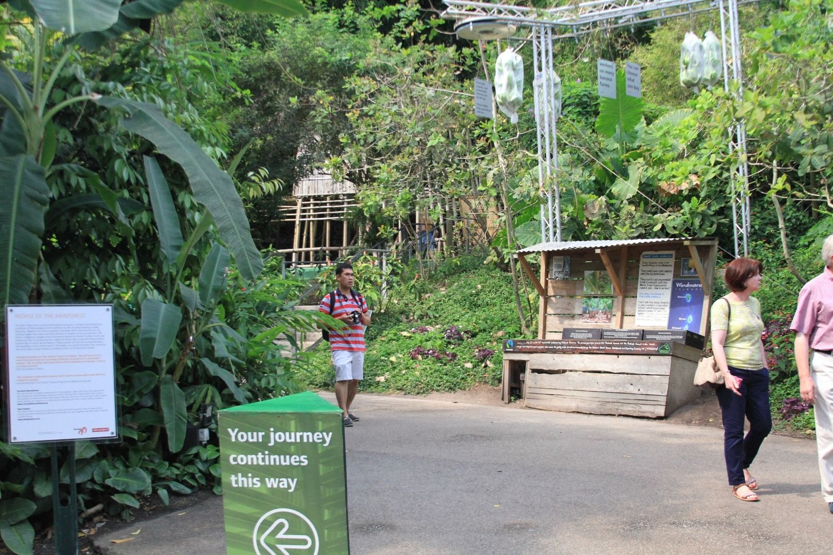 Visite de Eden Project​ (7)